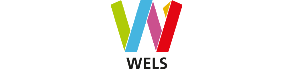 Logo Stadt Wels